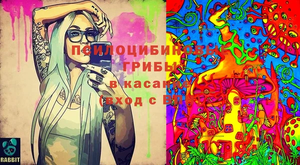 твердый Белокуриха