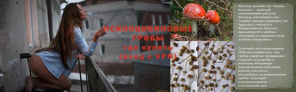 твердый Белокуриха