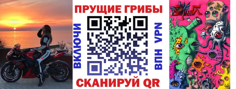 Галлюциногенные грибы Psilocybine cubensis  Петропавловск-Камчатский 