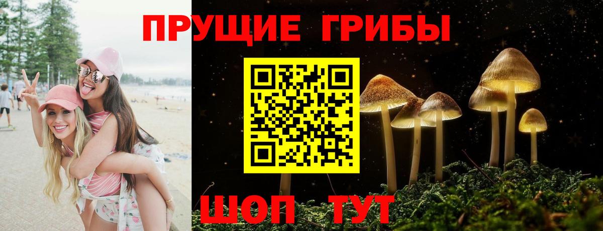 Петропавловск-Камчатский  Галлюциногенные грибы MAGIC MUSHROOMS  Вход с VPN 